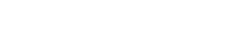 الرئيسية